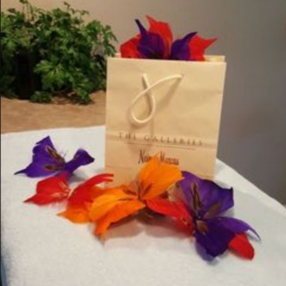 💜Neiman Marcus Feather Butterflies💜